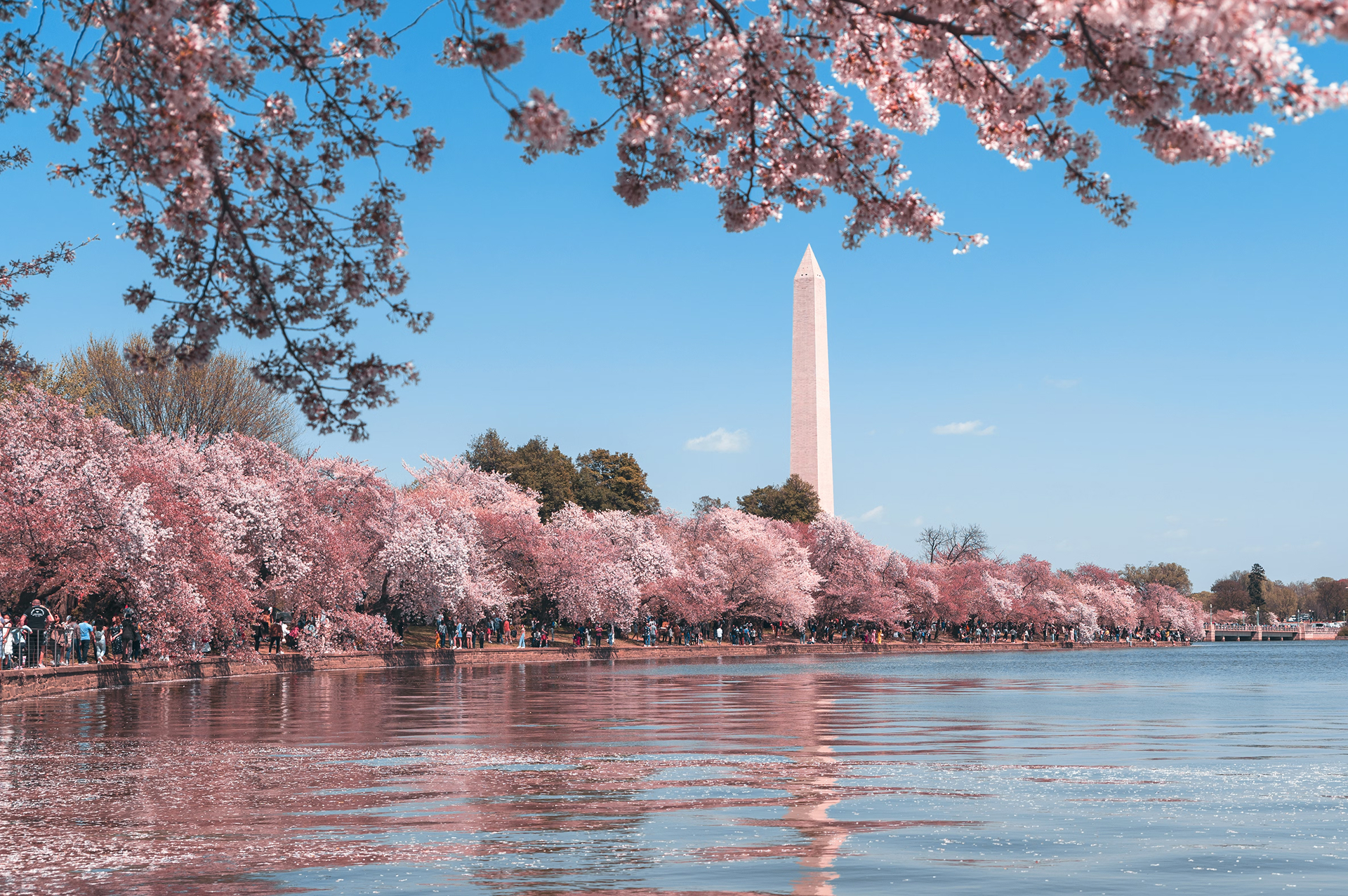 DC