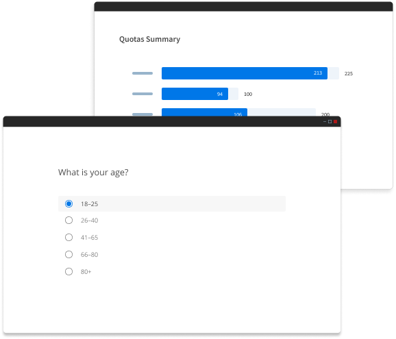 <p>example of a general survey in Lighthouse Studio</p>