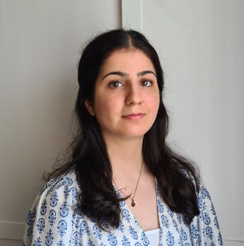Yasemin Dolmis